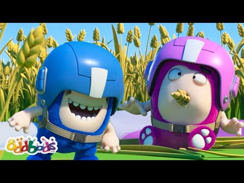Newt&apos;s Not A-Maize-d! | Oddbods Cartoons | Funny Cartoons For Kids