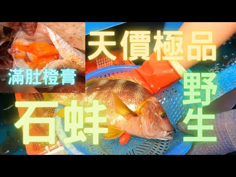 Thumbnail for 再戰西貢,野生黃金海石蚌($40両)????滿肚橙膏????加工蒸完全碟橙油,甘香樸鼻,鮮味嫩滑,人間極品~fishcutting香港海鮮~社長遊街市HongKong Seafood