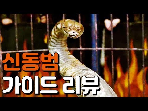 Thumbnail for 신비한 동물들과 그린델왈드의 범죄 가이드 리뷰 (쿠키영상 없음)