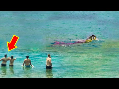 Thumbnail for 8 حالات مشاهدة لحوريات بحر عبر التاريخ !!