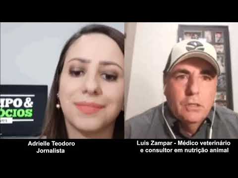 Live: Como preparar e armazenar corretamente sua silagem