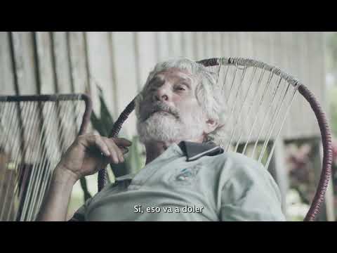 Palmas de Mamré / Venga