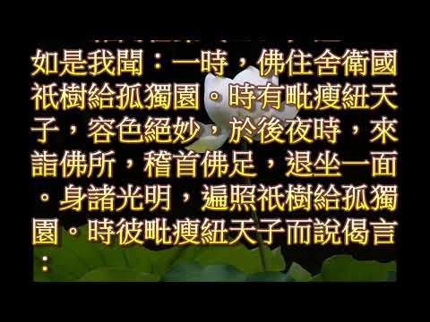 雜阿含第1304經（諸天相應）：不放逸