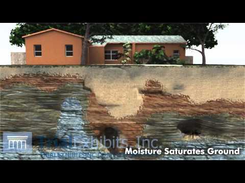 Thumbnail for Sinkhole Formation 3D Animation