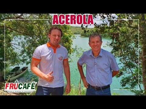 ACEROLA - Poda de Formação e Indicação de Cultivares