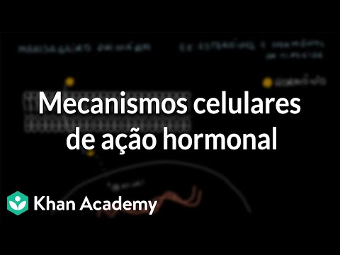 Thumbnail for Mecanismos celulares de ação hormonal