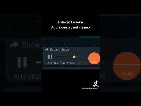 Thumbnail for agora deu o carai mesmo - Estevão Ferreira