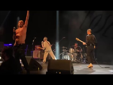 Iggy Pop &amp; The Losers - I Wanna Be Your Dog (Live @The Masonic, San Francisco CA.)  2023