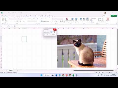 Thumbnail for How to Insert and Automatically Resize an Image in Microsoft Excel