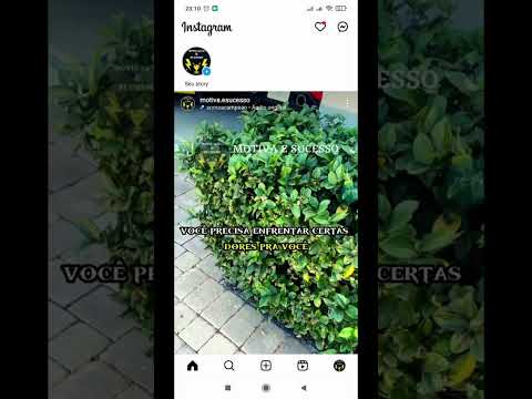 Como ver Publicações curtidas no INSTAGRAM
