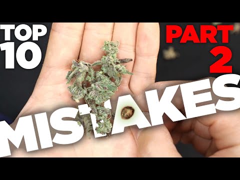 Top 10 Mistakes New Growers Make &amp; How to Avoid Them - Part 2