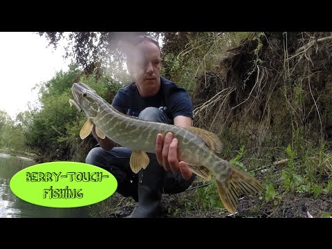 Pêche du brochet au leurre en rivière [GoPro]