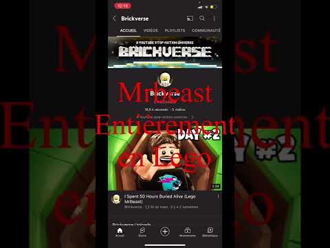 Une Vidéo de Mrbeast En LEGO !