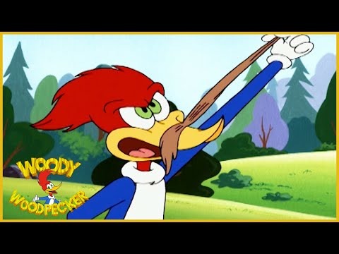 Thumbnail for Woody Woodpecker Show | Woodsy Woody | Full Episode | Cartoons For Children