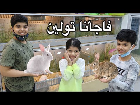 Thumbnail for سوينا مفاجأة لتولين ❤️???? نواف ودحوم تصادموا في التحدي