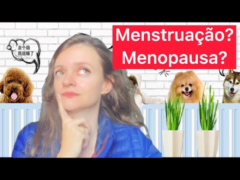 Menstruação, menopausa em cadelas ou gatas? Veterinaria explica