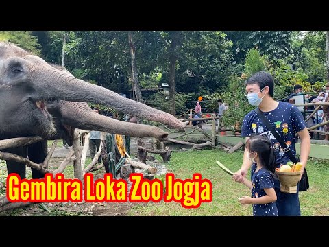 Thumbnail for Wisata Jogja | Kebun Binatang Gembira Loka | Gembira Loka Zoo Yogyakarta