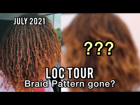 LOC TOUR | Is the Braid Pattern Gone? - 20 Month Old DIY Braidlocs /Microlocs