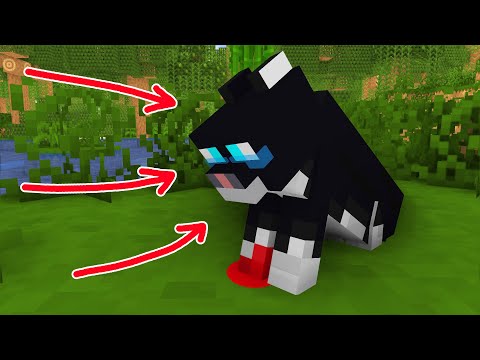 Thumbnail for Monster School : DOG SAVES WOUNDED BABY KITTEN - Wolf Life Animation