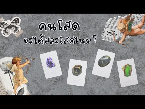Pick a card คนโสด จะมีเกณฑ์สละโสดไหม และไพ่อยากบอกอะไรกับคุณ