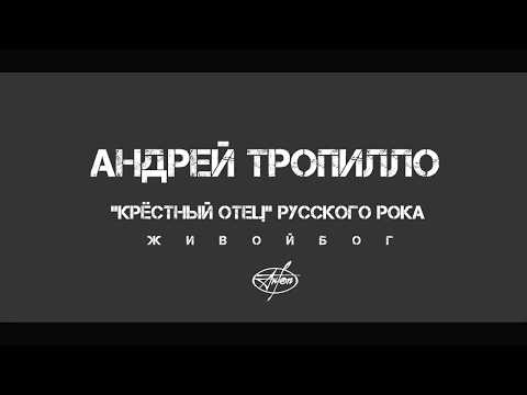 Кирилл Серебренников. Фильм "Лето". Виктор Цой. Мнение Андрея Тропилло.