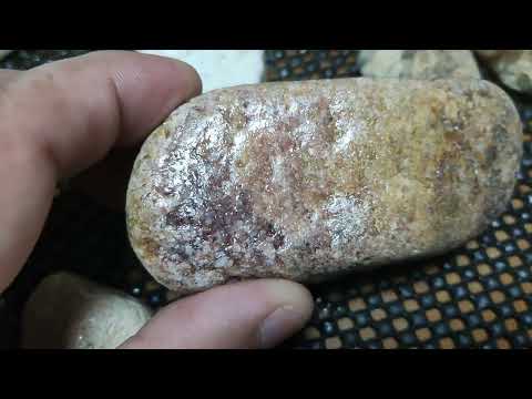 今日の戦利品????????????