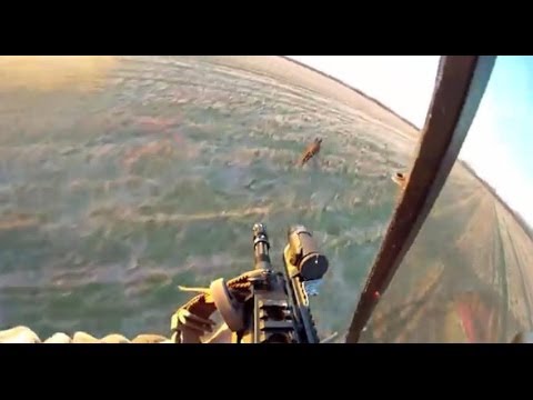 HELI HOGGIN Texas Style