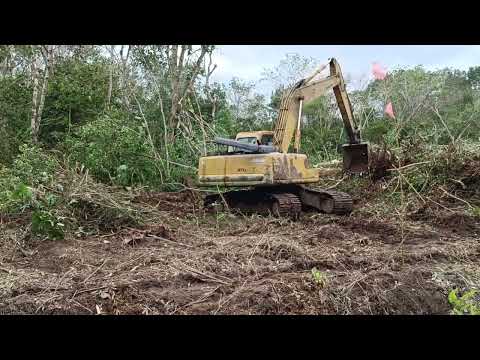 Proses Steking Lahan Gambut Dengan Alat Berat