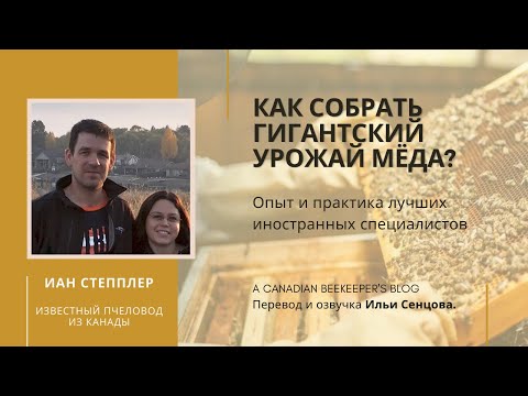 Thumbnail for Как собрать гигантский урожай мёда? (Иан Степплер, Канада)