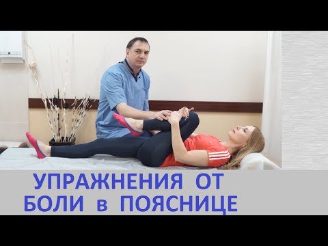 5 упражнений от БОЛИ в ПОЯСНИЦЕ - для лечения спины при ГРЫЖЕ ДИСКА, радикулите, остеохондрозе.