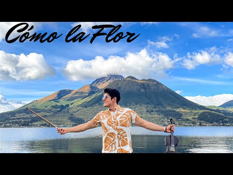 Coma la flor - cover Violin