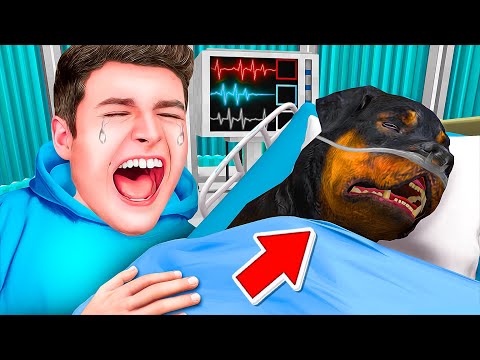 Das TRAURIGSTE GTA 5 VIDEO aller ZEITEN!