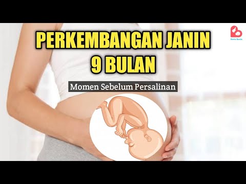 Thumbnail for Perkembangan Janin 9 Bulan yang Ideal, Momen Jelang Melahirkan