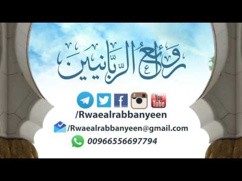 هل يجوز أخذ تأمين العوض في حوادث السيارات أو العمل ؟ فضيلة الشيخ محمد بن محمد المختار الشنقيطي