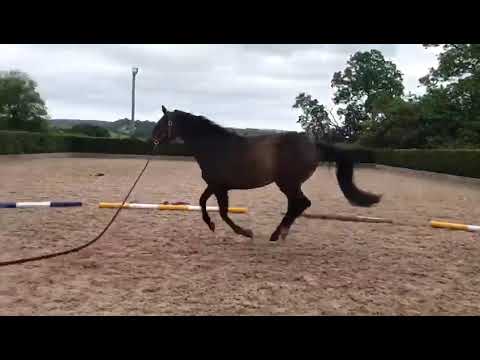 Thumbnail for Advert reference - 353887