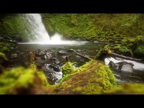 Native American Style Flute Music  -  Forest Song