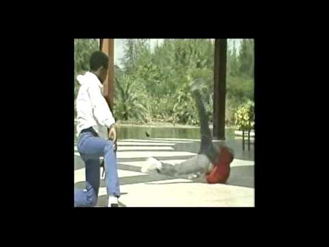 WILFRIDO VARGAS- EL JARDINERO