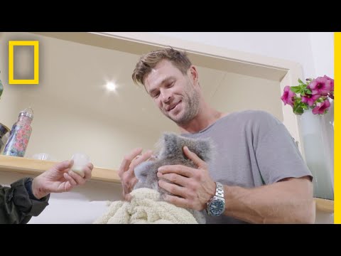 Thumbnail for Born Wild: The Next Generation: Official Trailer | National Geographic