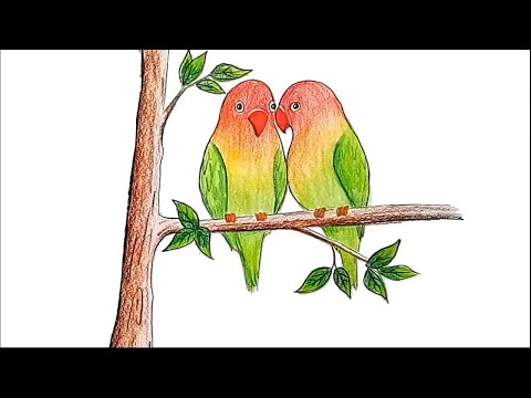 How to draw two parrots on a branch of tree step by step