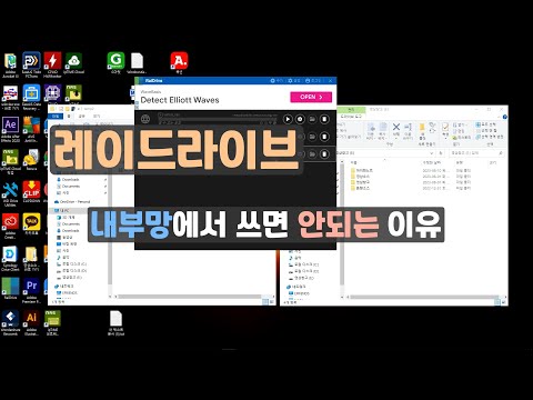 레이드라이브 내부망에서 ddns로 쓰면 속도가???