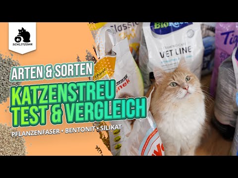 Thumbnail for ????Katzenstreu Test/Vergleich | Testsieger - beste Katzenstreu ist eine Klumpstreu? Unsere Erfahrungen