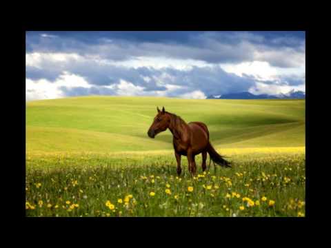 Очень красивая казахская народная песня «Гаухар-тас». Природа Казахстана.  Поет Русакова Татьяна.