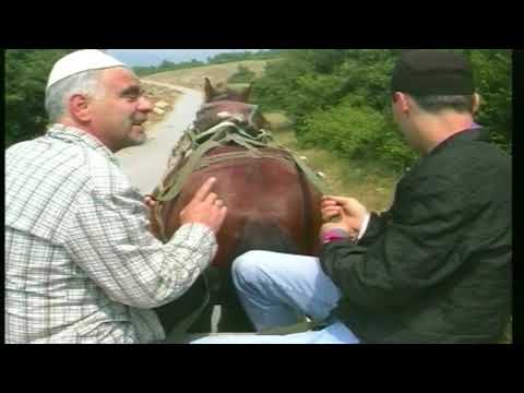 Thumbnail for mister  x  majla - kali i kujt asht