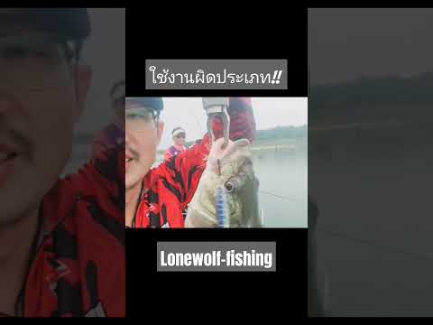 Thumbnail for ใช้งานผิดประเภท!! #fishing #fishinglifestyle #ตกปลา #rapala #ปลากระสูบ #