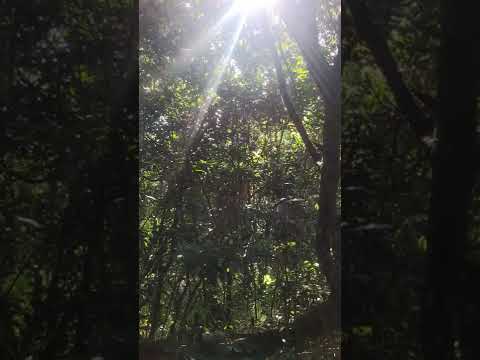 Trilha do Farol - Imbituba Sc