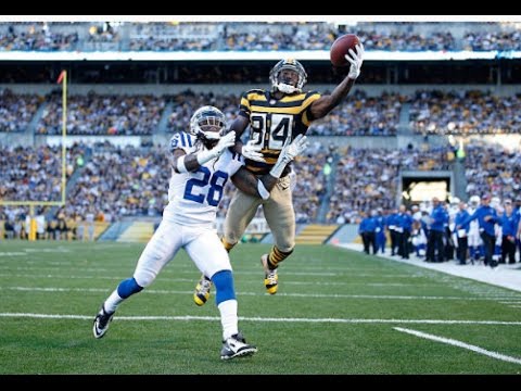Top 10 Antonio Brown NFL Catches ᴴᴰ