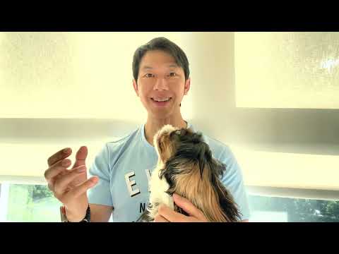 Thumbnail for ทำไมข้อมูลของผมถึงต่างจาก Influencer หรือหมอบางคน ต้องเลือกอ่านงานวิจัยยังไง