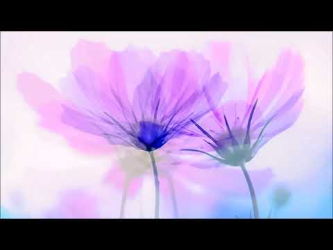 Thumbnail for 【作業用・睡眠用BGM】秋待つ夕空でしっぽり聴くリラクシング・ピアノ・ミュージックRelaxing piano sound #