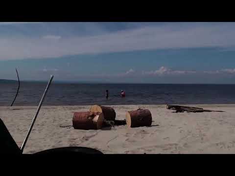 Зейское море. Золотые пески. 2022