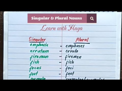Singular and Plural Nouns